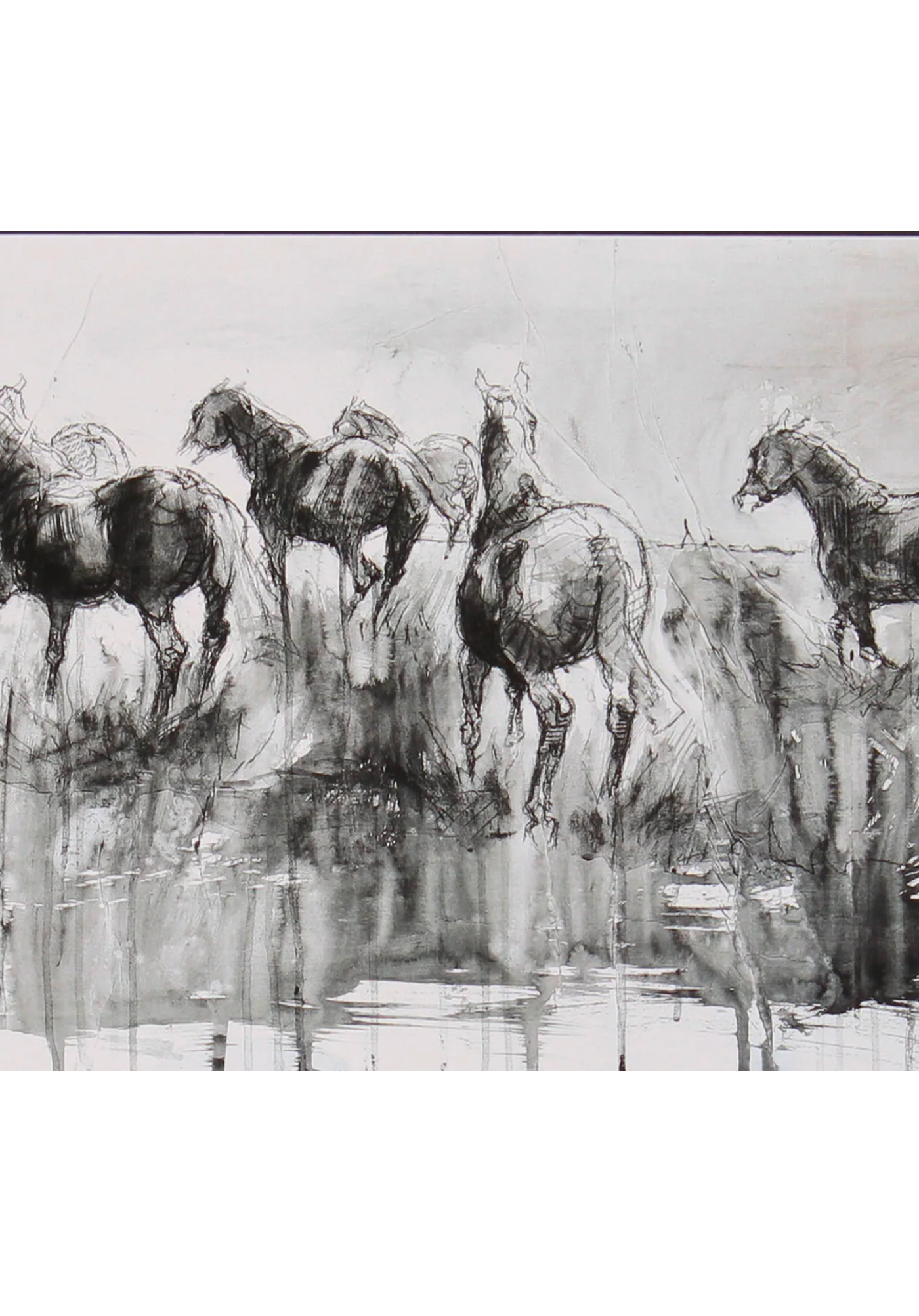 Equine Life 2