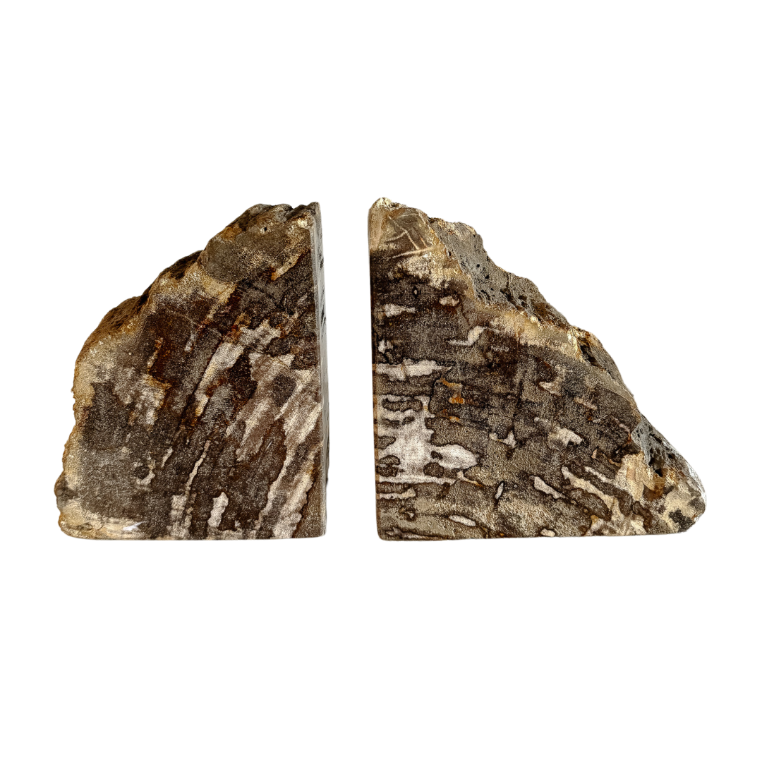 Petrified Wood Bookends