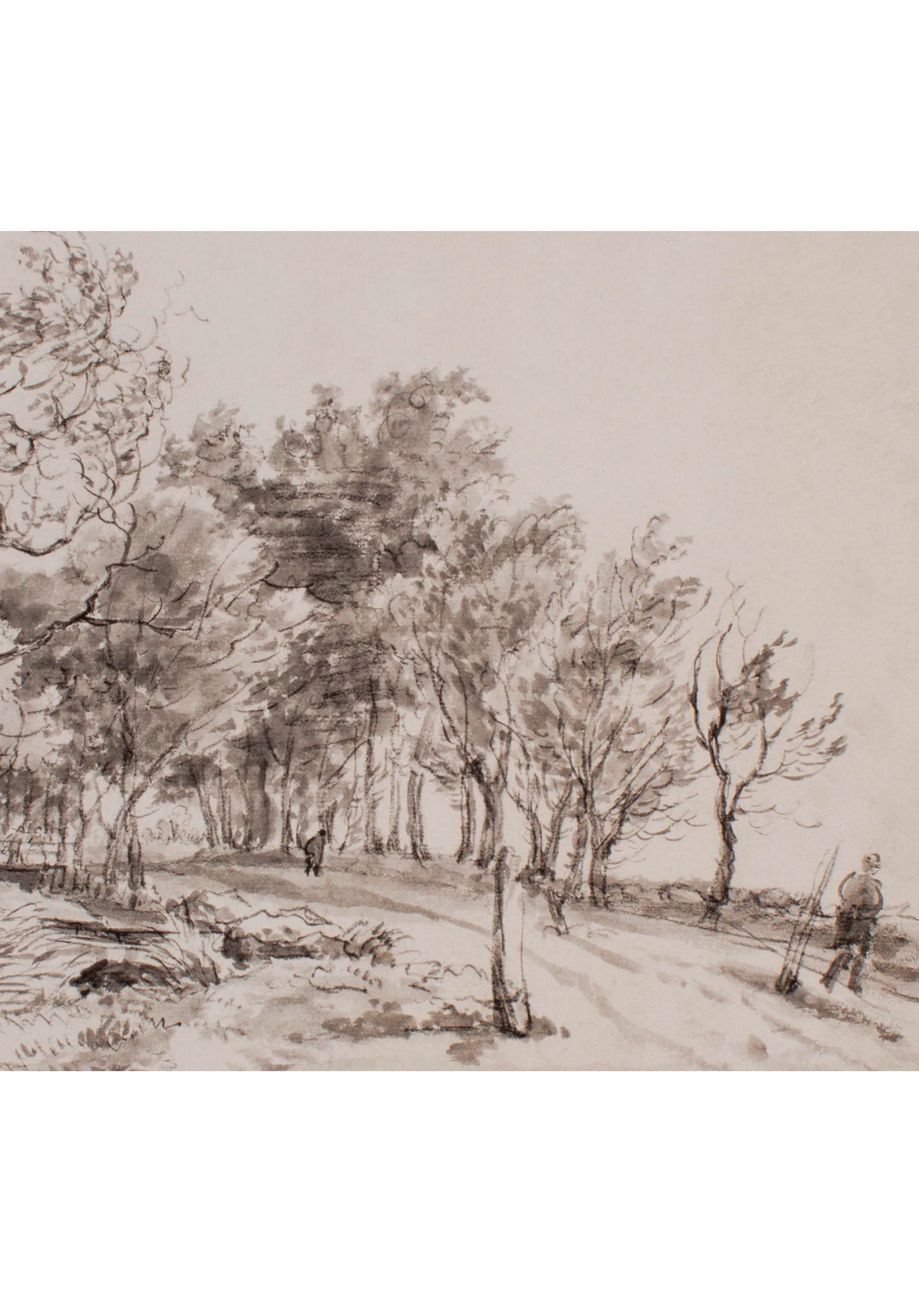 Wooded Sketch