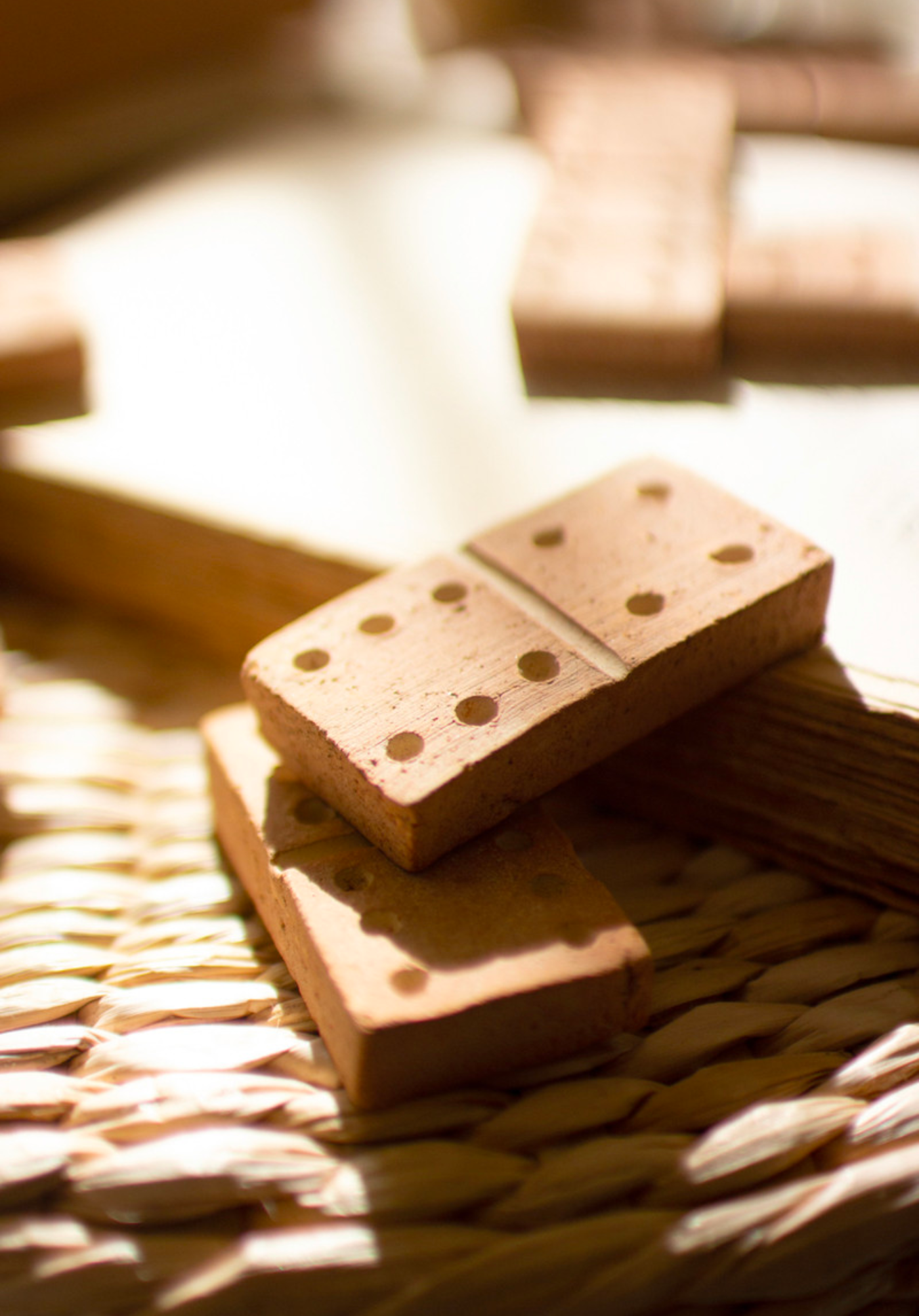 Clay Domino Set