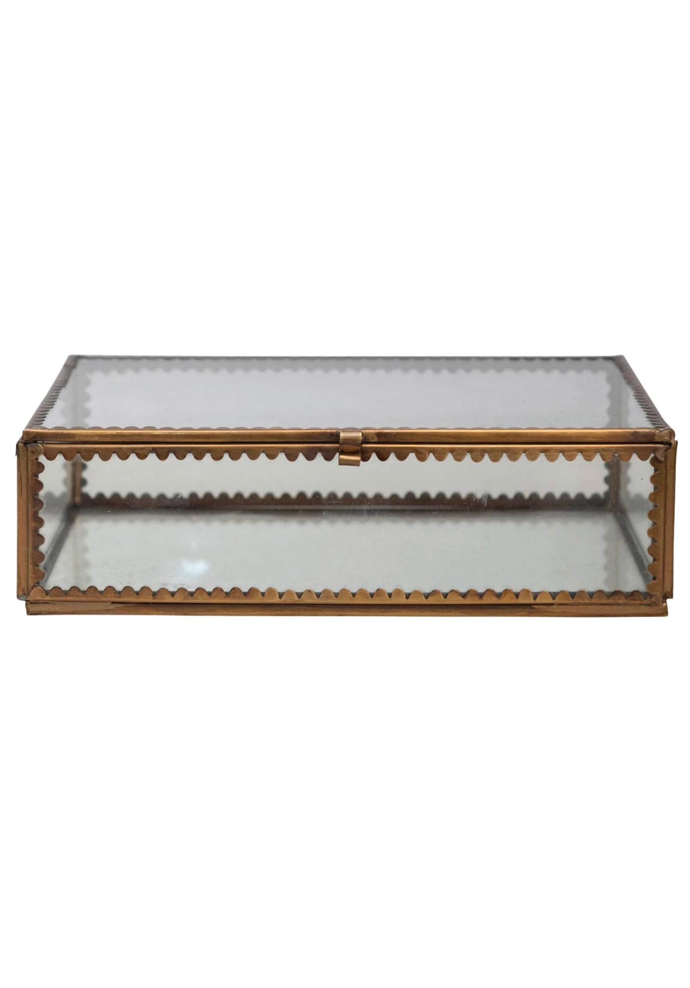 Scalloped Edge Display Box