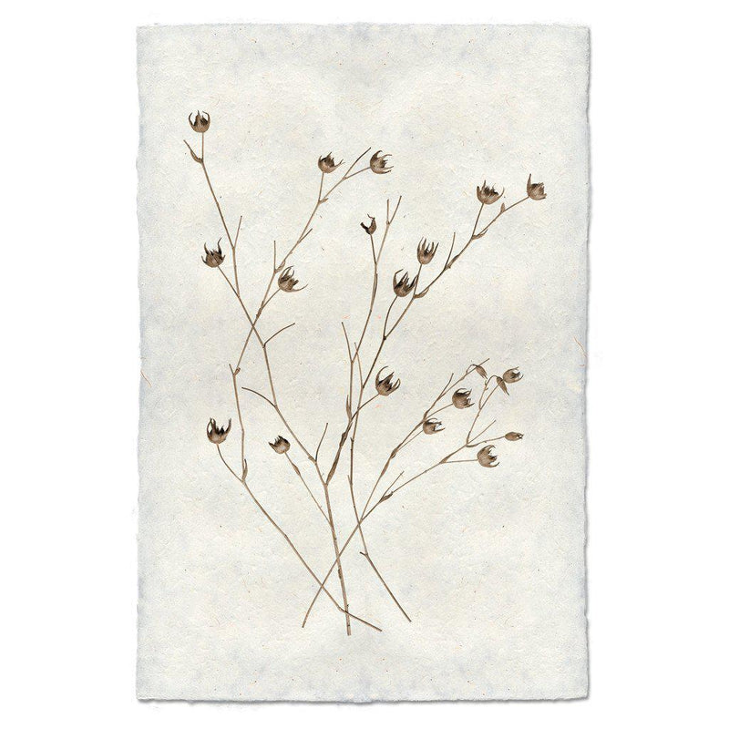 Petal Print