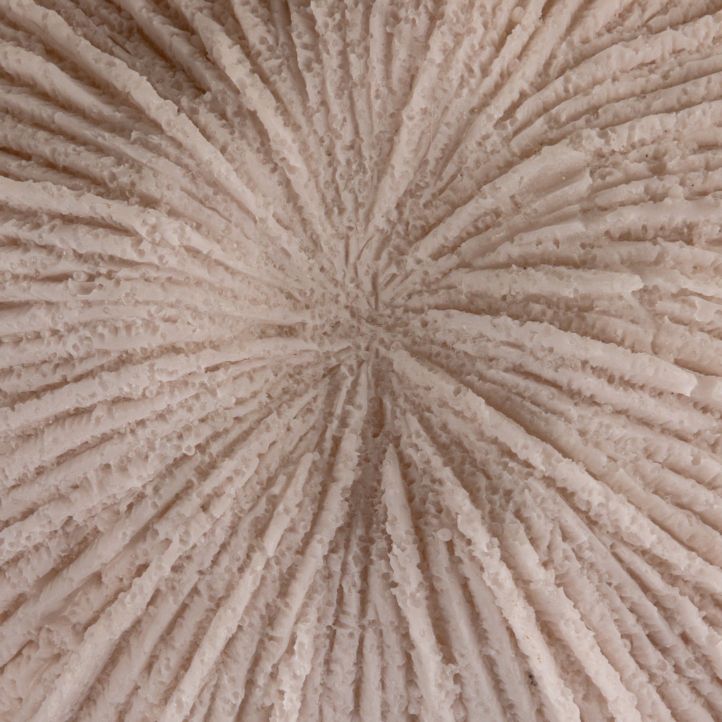 Textured Coral Shaped Light