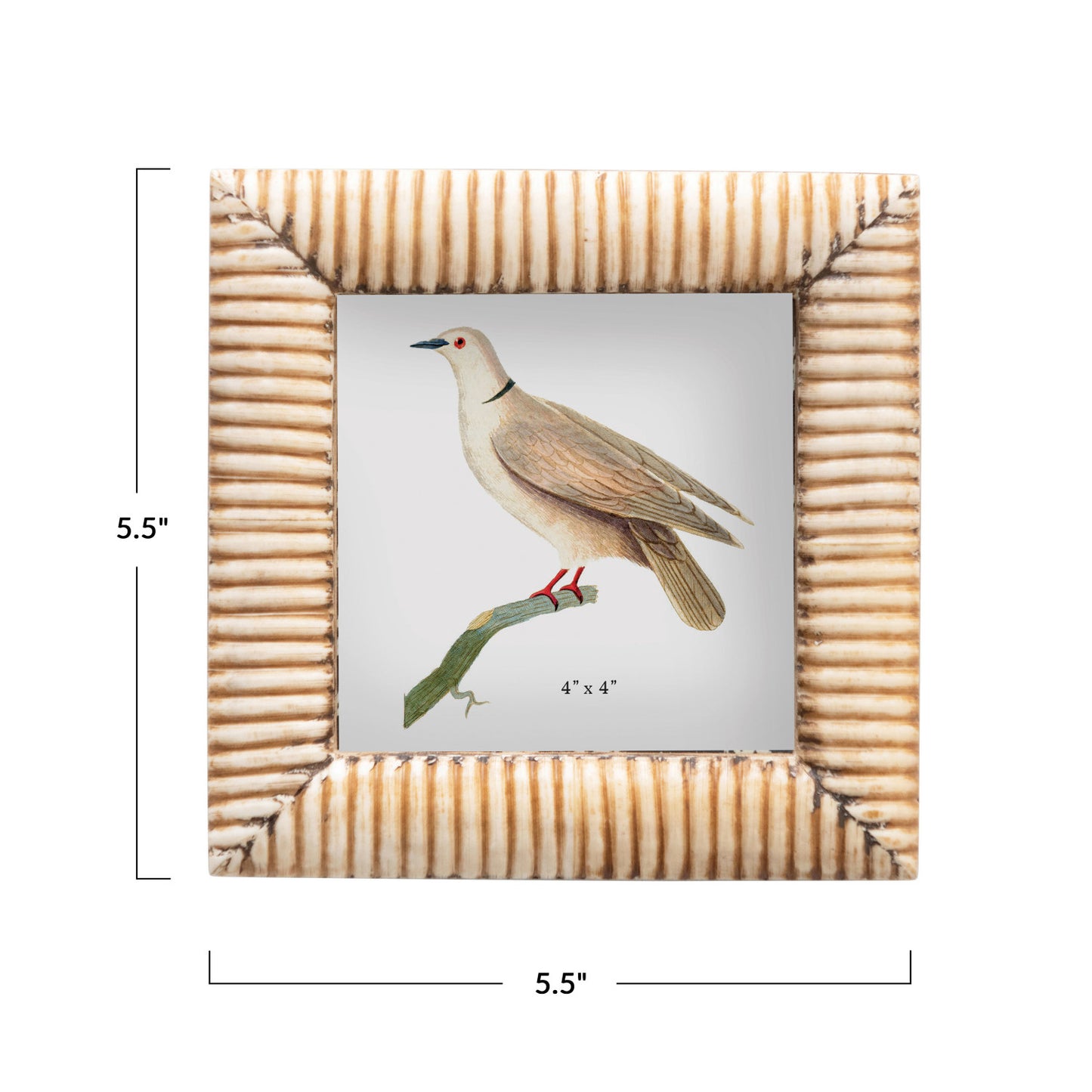 Ribbed Photo Frame