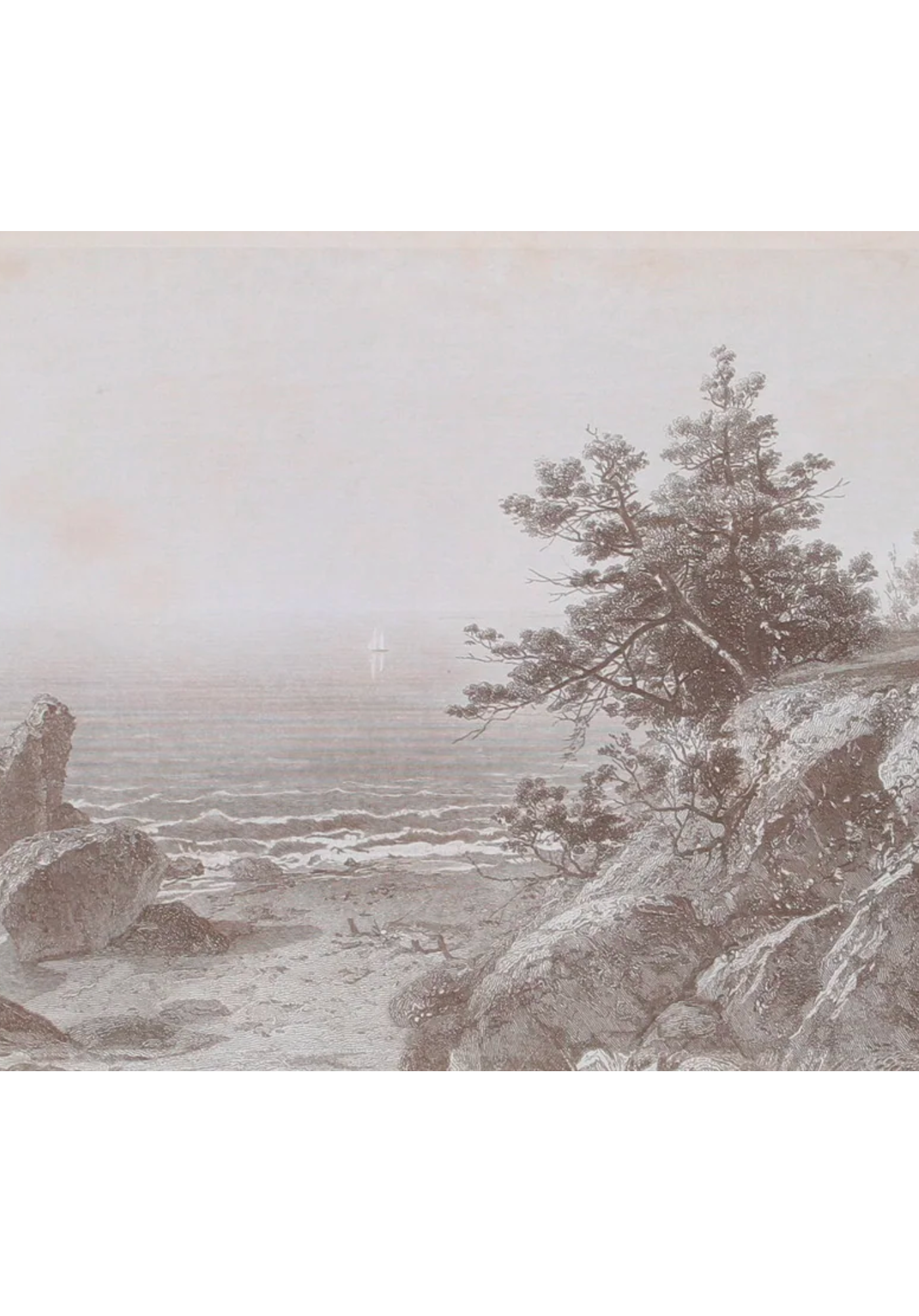 Beverly Coast