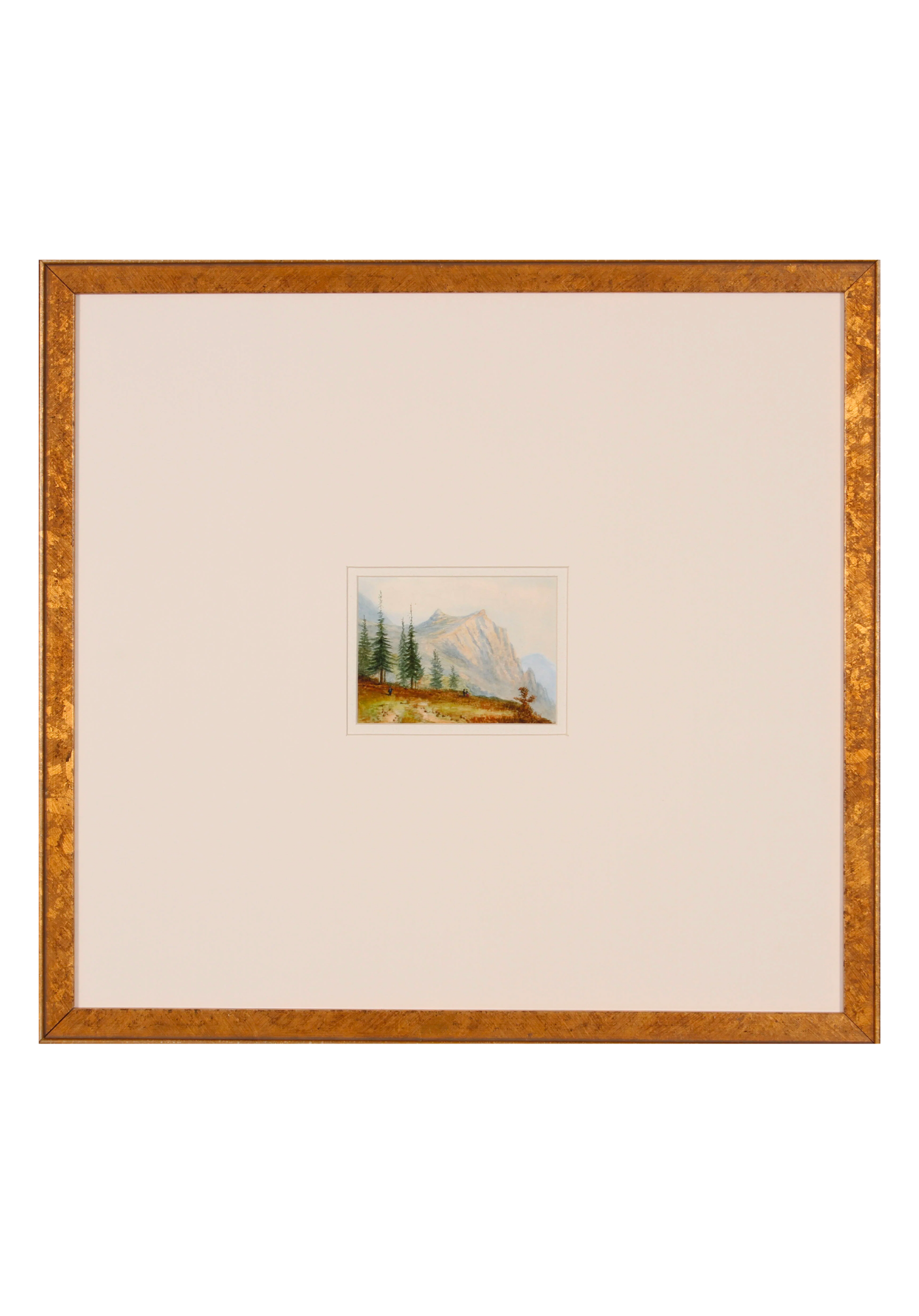 Alpine View