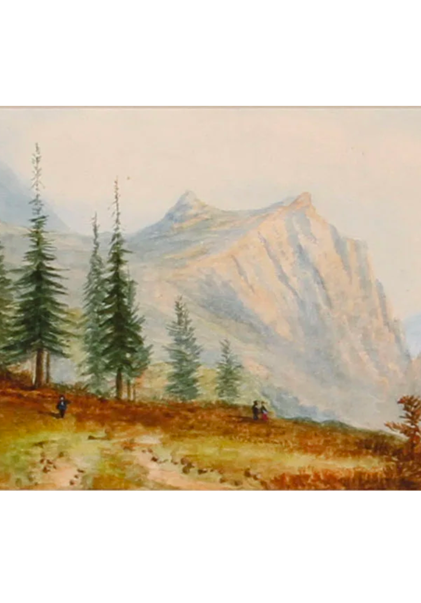 Alpine View
