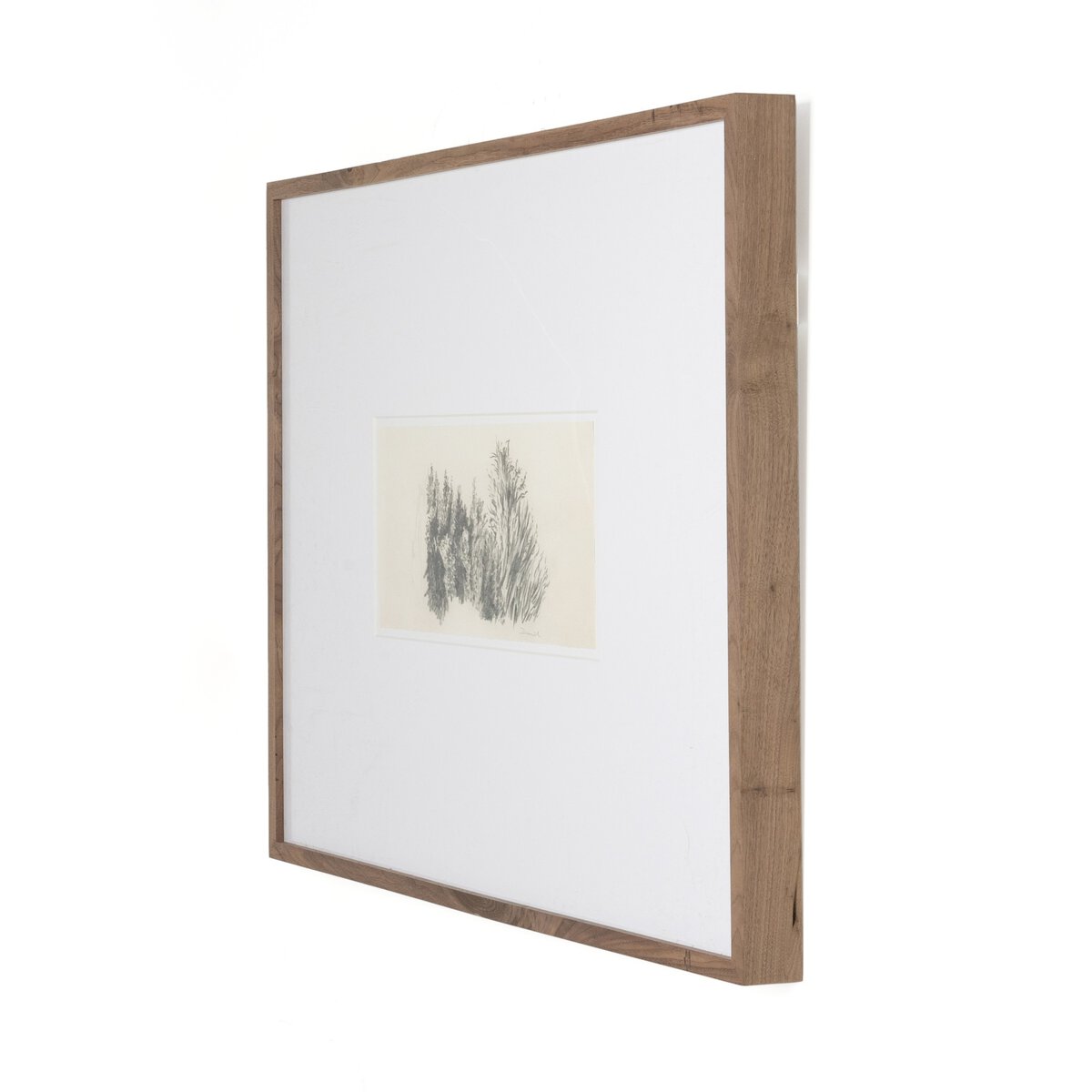Tree Sketch by Dan Hobday