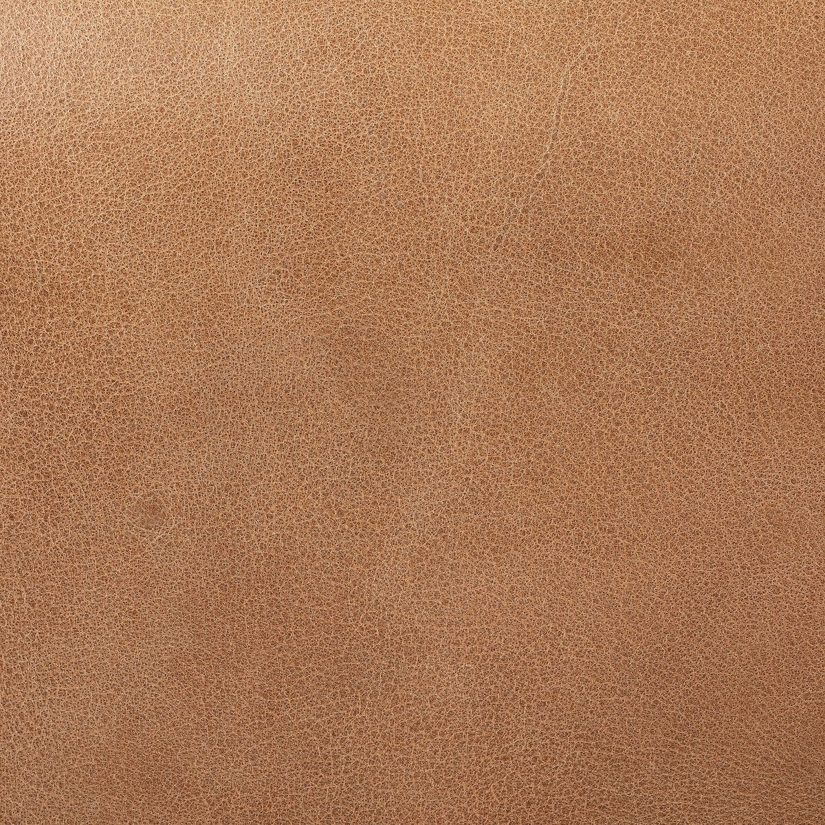 Edward Desk Chair