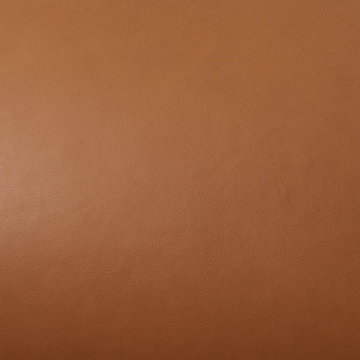 Emika Chair