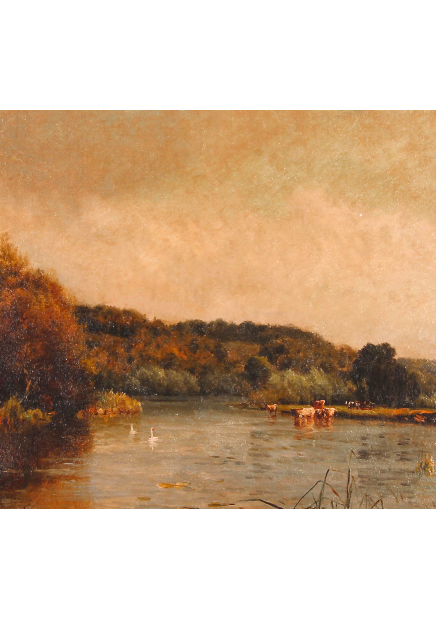 Autumn Morning