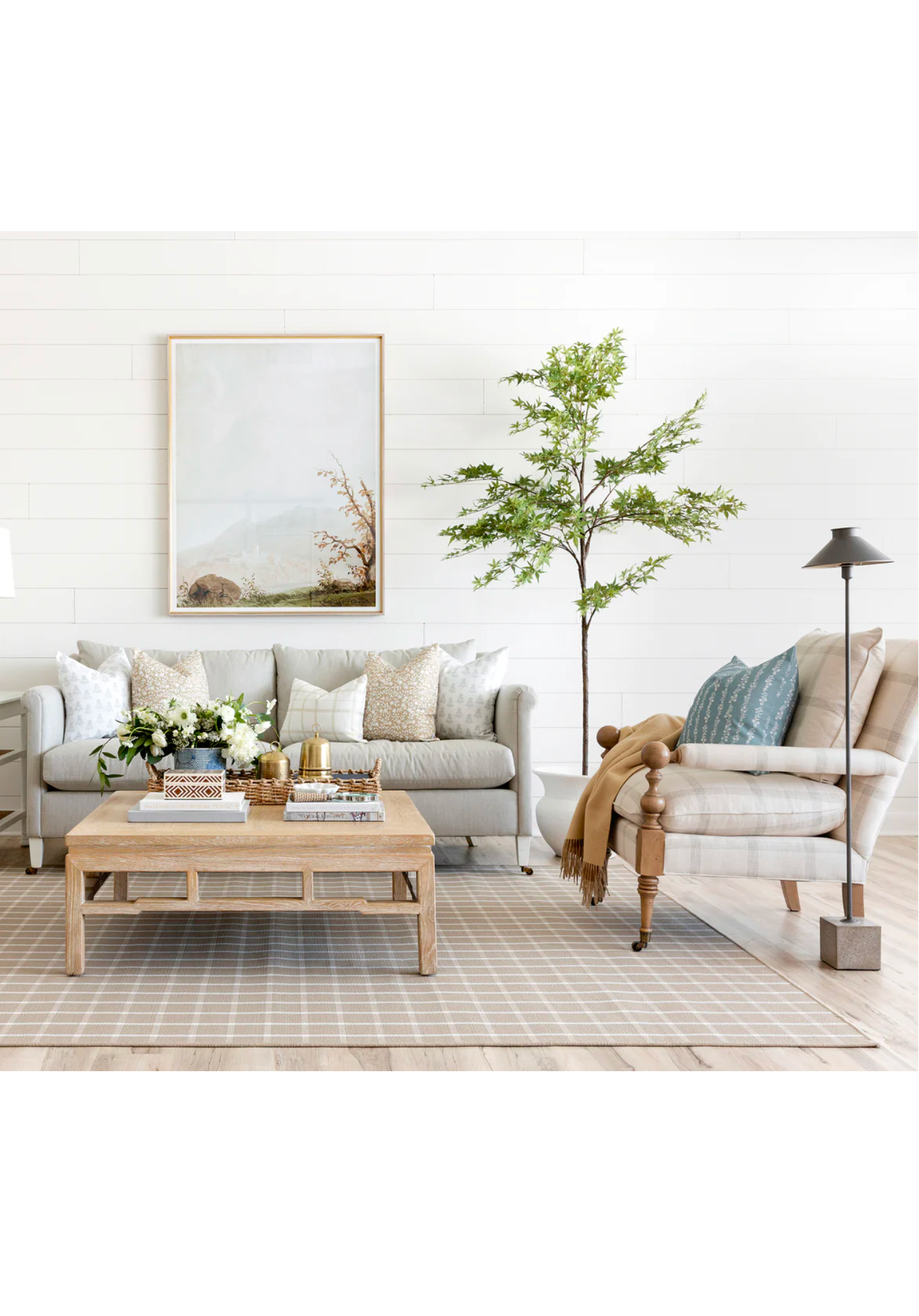 Potted Maple Tree