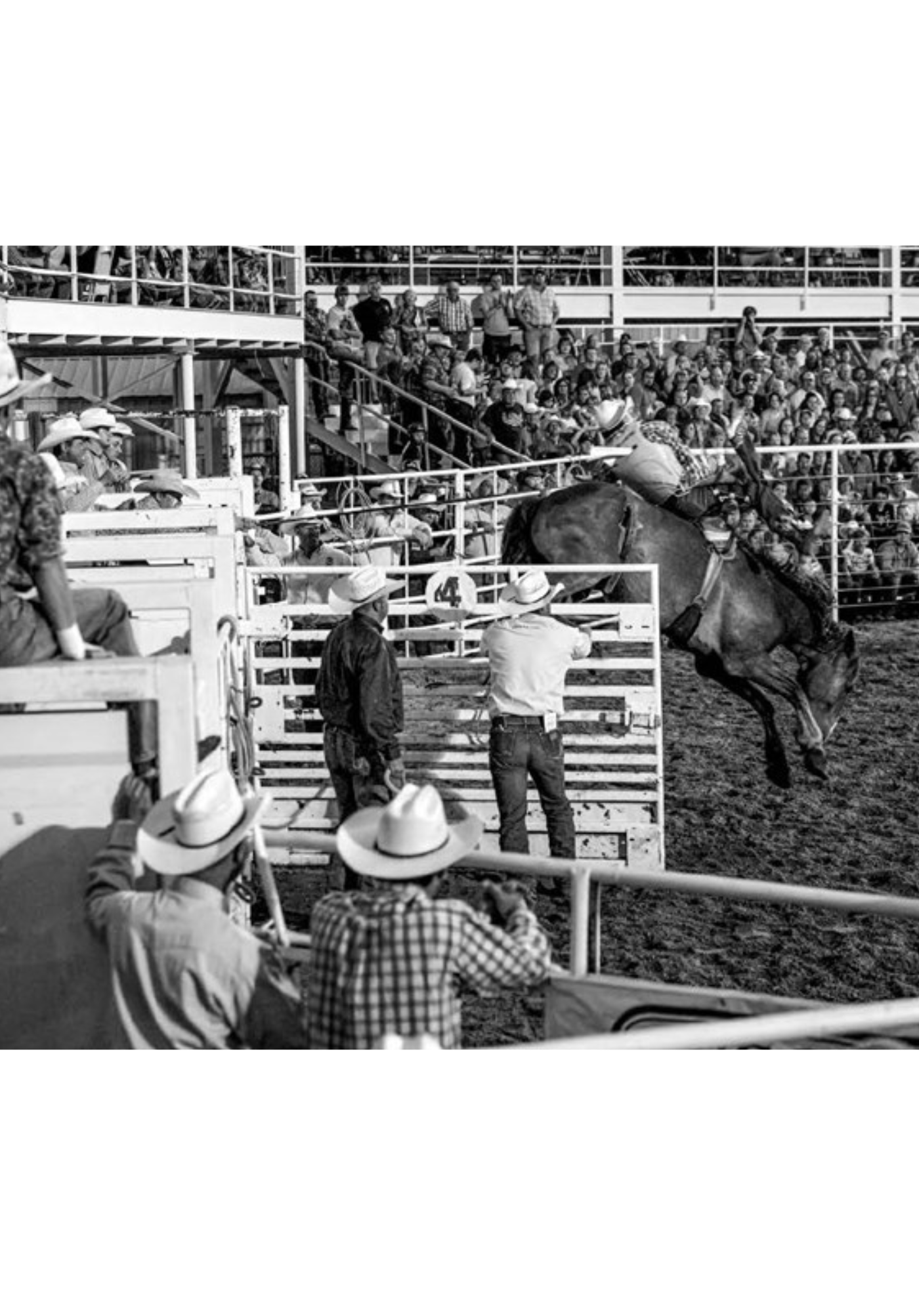 American Cowboys