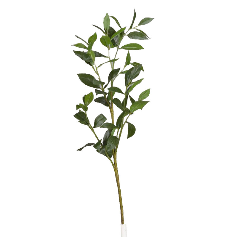 Bay Leaf Spray