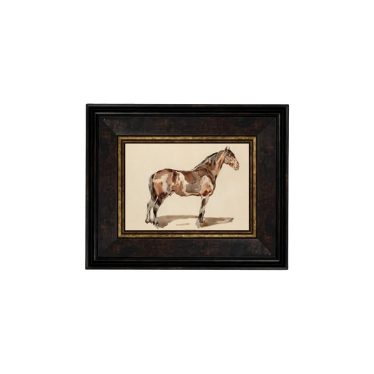 A Bay Horse