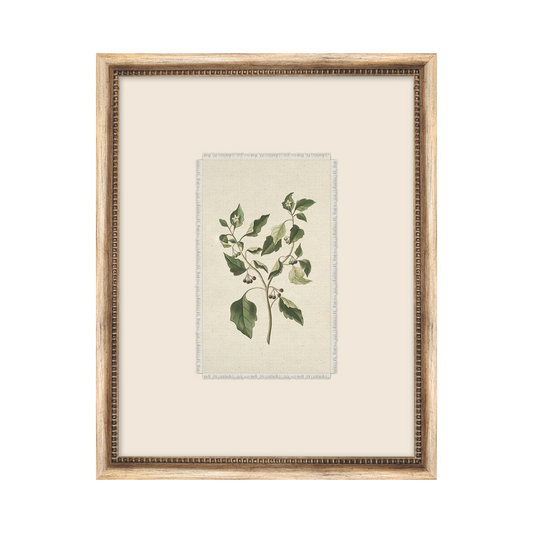 Petite Floral 5