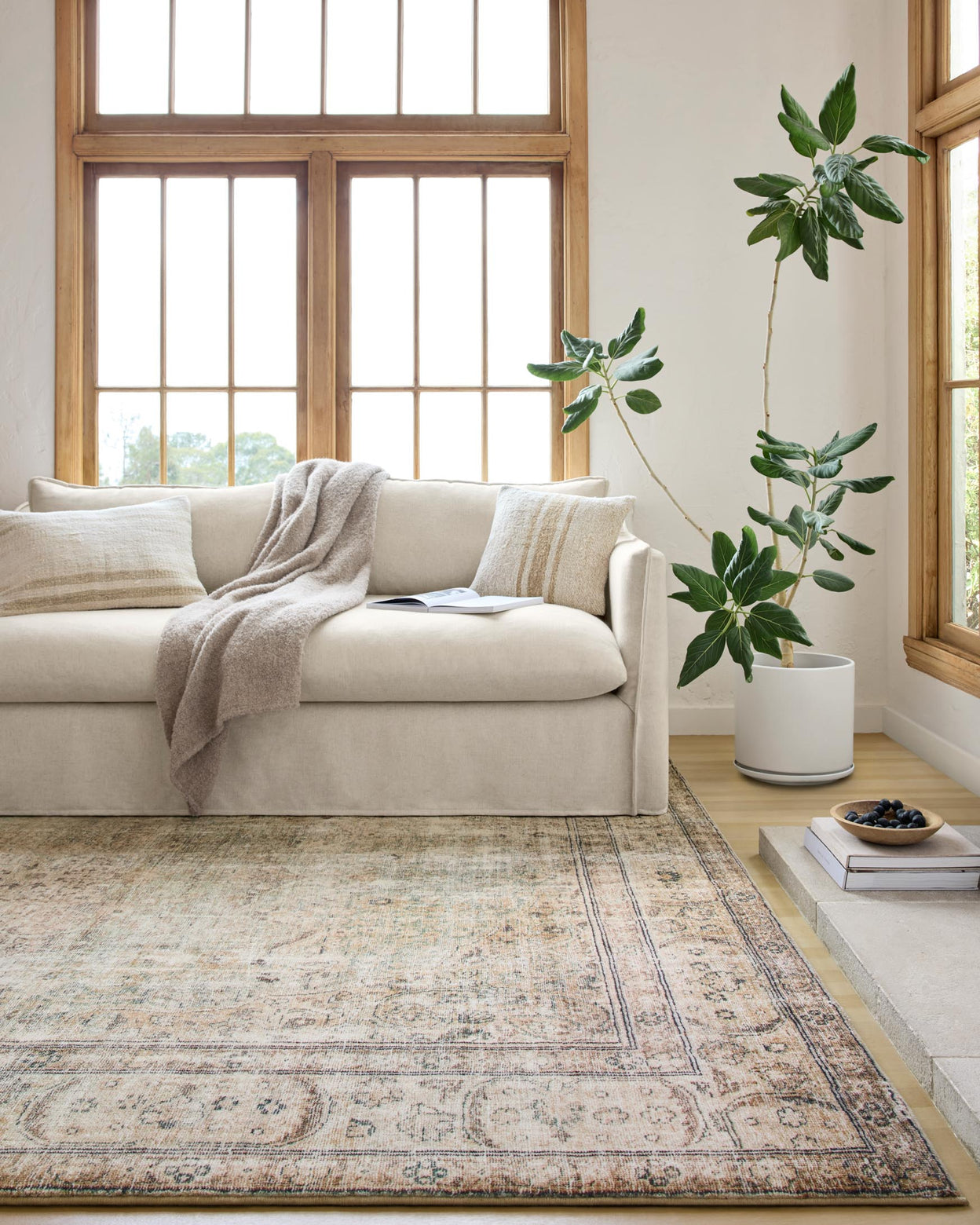 Margot Antique / Sage Rug