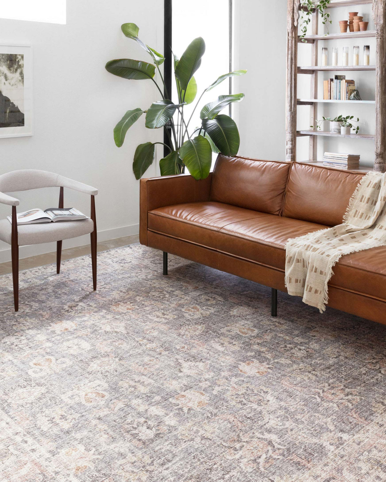Skye Grey / Apricot Rug