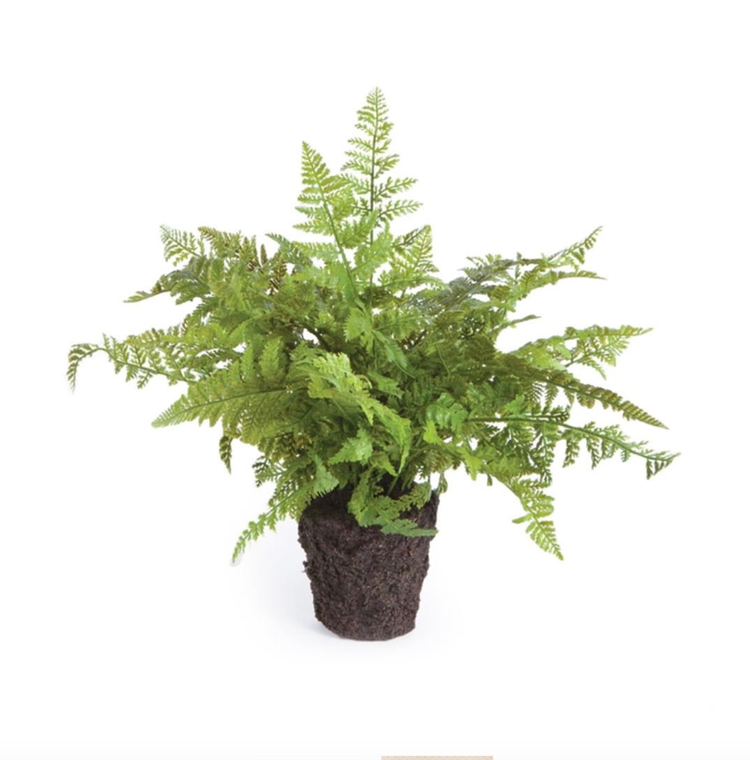 Soft Fern Drop-In