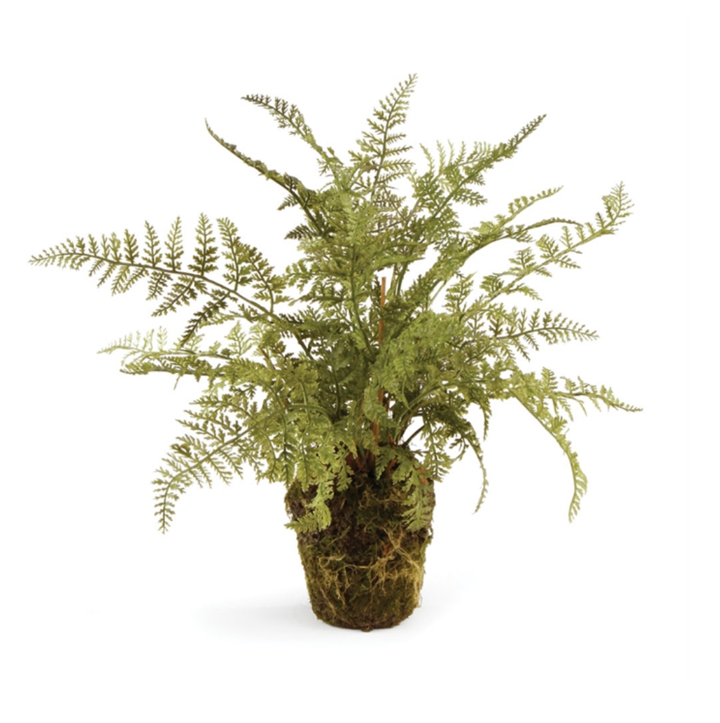 Soft Fern Drop-In
