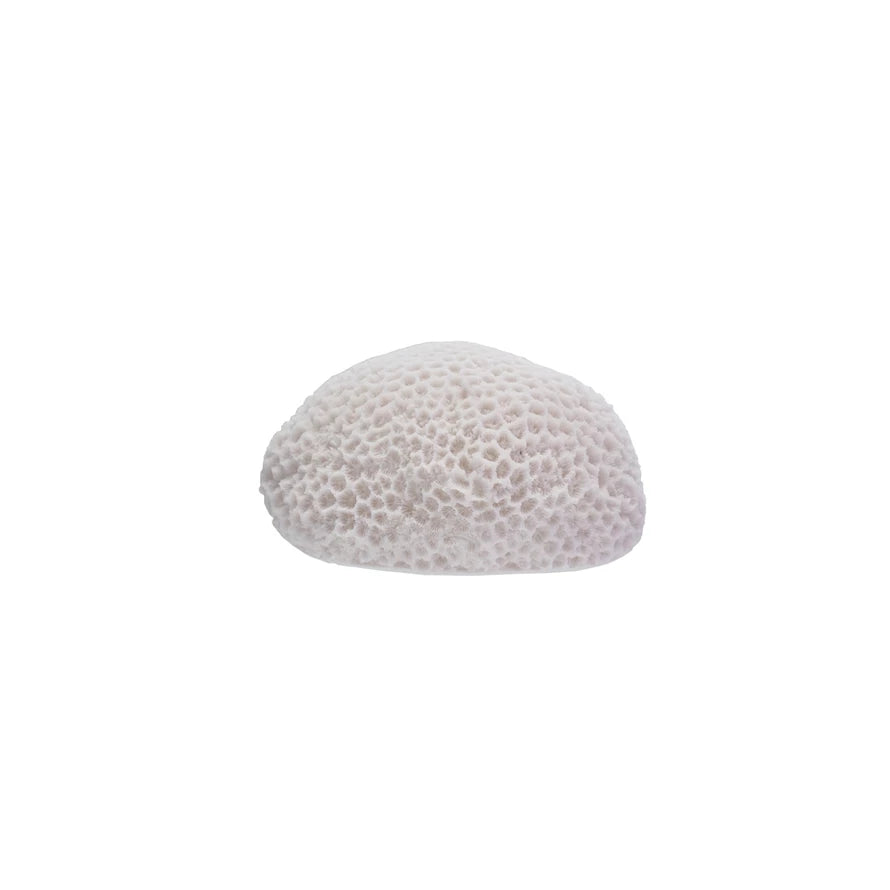 Honeycomb Coral Light