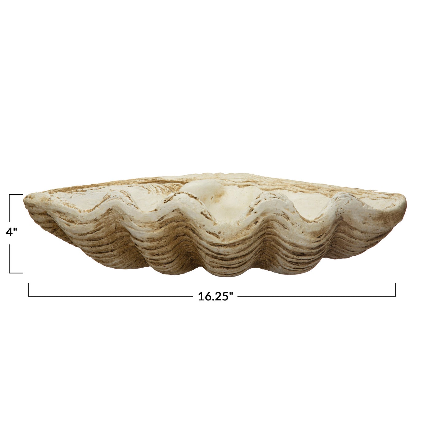 Decorative Clamshell